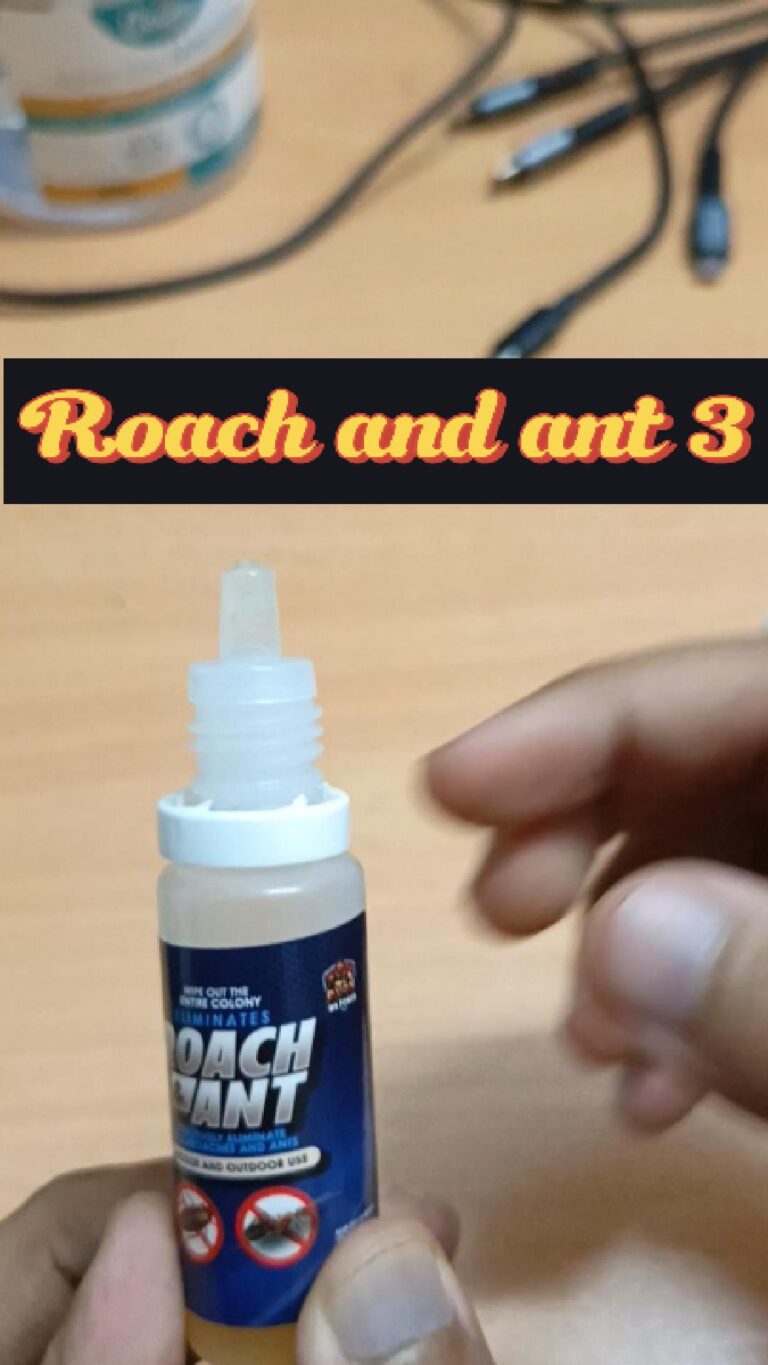 Roach & Ant