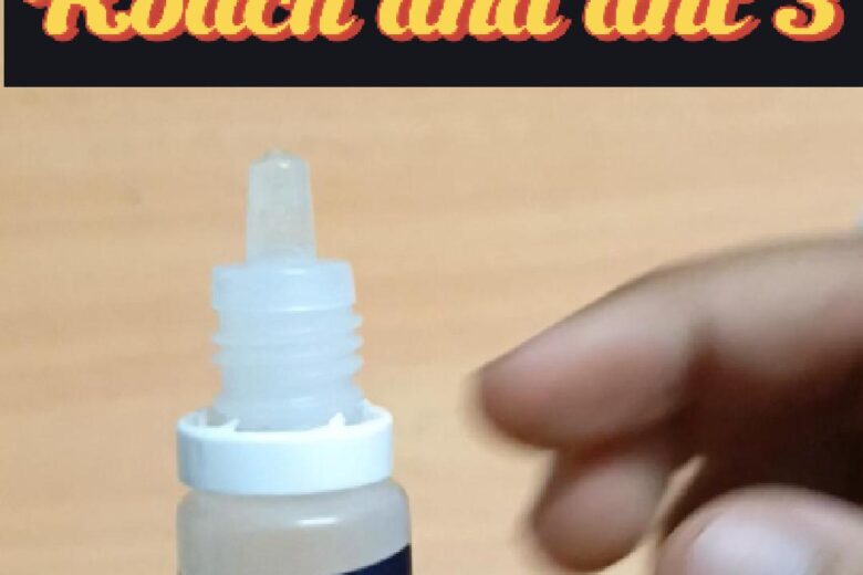 Roach & Ant